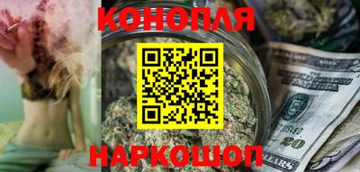 мдпв Бийск