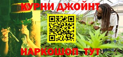 мдпв Бийск