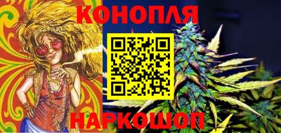 мдпв Бийск