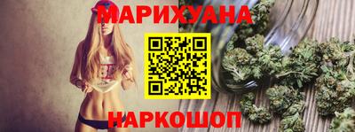мдпв Бийск