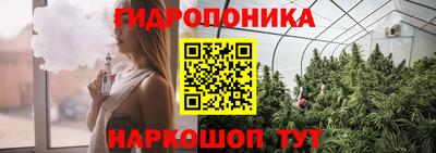 мдпв Бийск