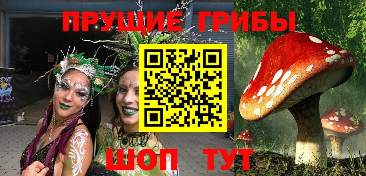 Псилоцибиновые грибы Cubensis Калининград