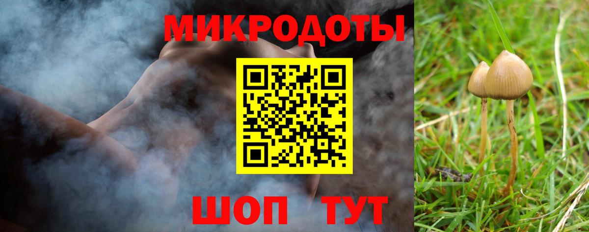 Калининград  Галлюциногенные грибы ЛСД  Галлюциногенные грибы GOLDEN TEACHER  Вход с VPN 